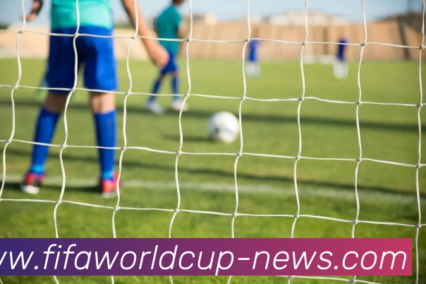 世界杯博彩平台生态图